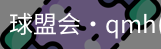 QM球盟会·(中国)